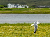 Isle of South Uist